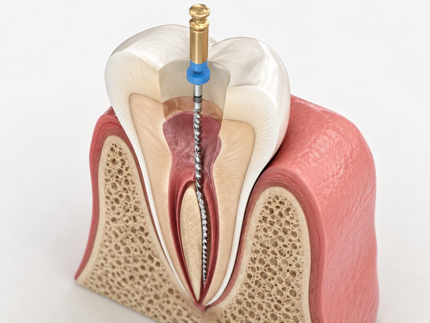 Endodonție